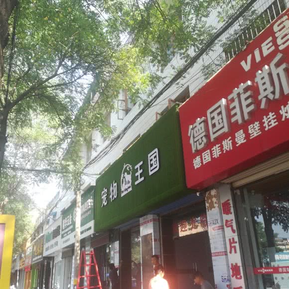 宠物王国:咸阳市