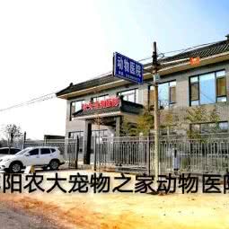 农大宠物之家动物医院:咸阳市