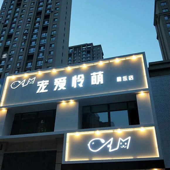 宠爱怜萌(晓乐店):沈阳市于洪区荷兰村附近