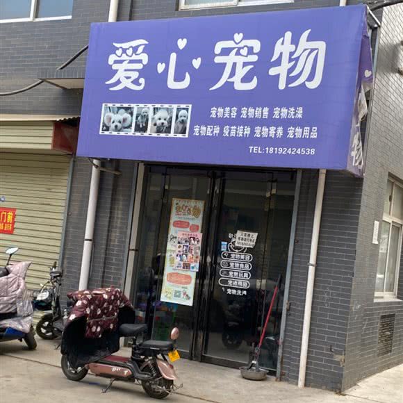 爱心宠物:渭南市