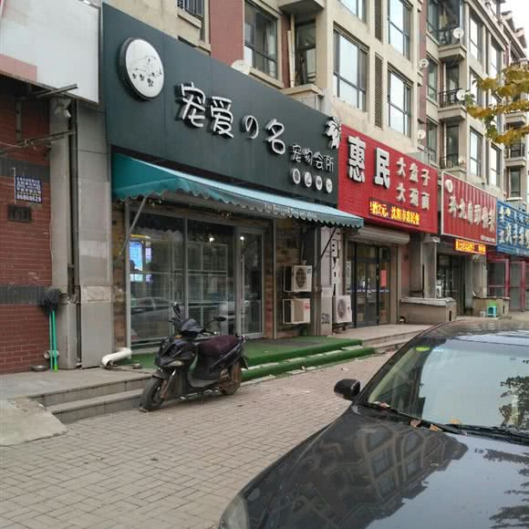 宠爱の名宠物会所:沈阳市于洪区荷兰村附近