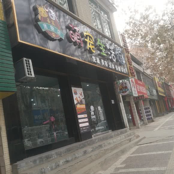 喜宝萌宠生活馆:渭南市