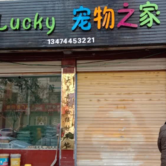 宠物之家:渭南市