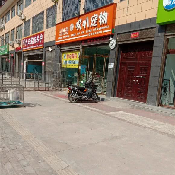 哎叭狗狗:渭南市