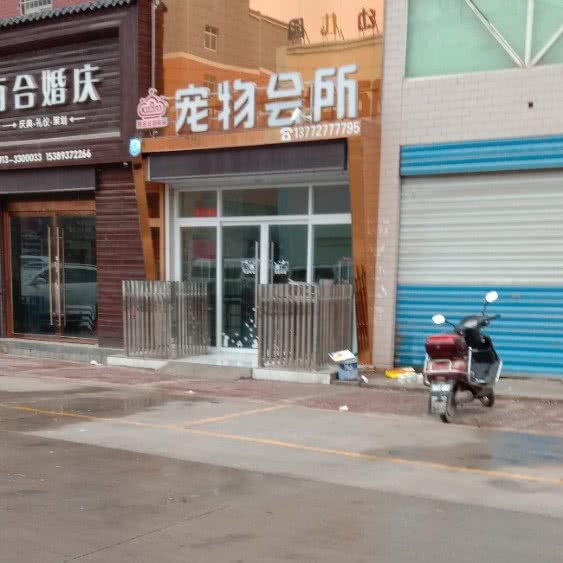宠物狗会所:渭南市