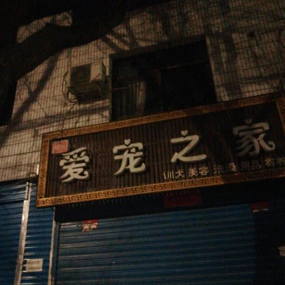 爱宠之余家:渭南市