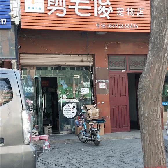 豆豆犬舍剪毛俊宠物店:渭南市