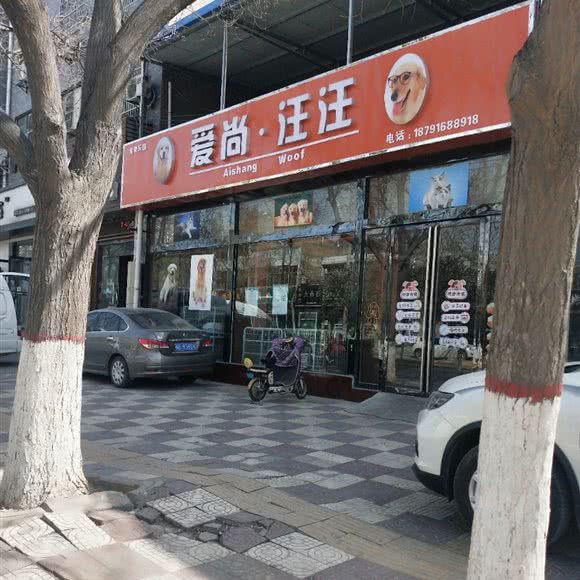 爱尚汪汪:渭南市