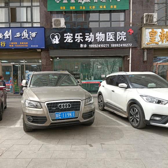 宠乐动物医院:渭南市