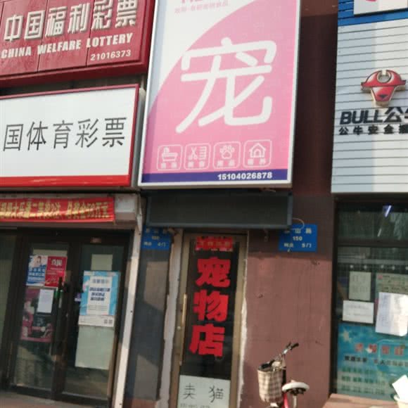 新宠宠物店:沈阳市于洪区荷兰村附近