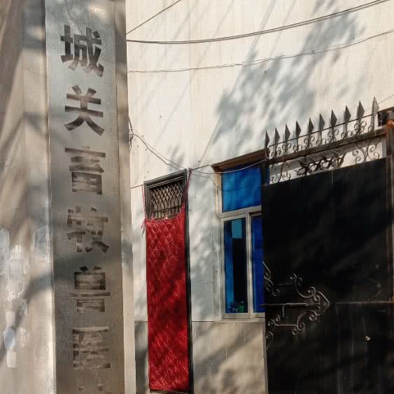 城关畜牧兽医站:渭南市