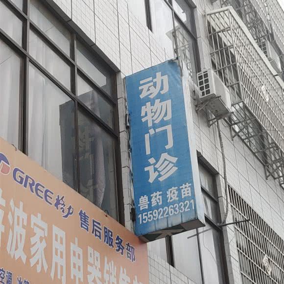 大荔县动物医院:渭南市