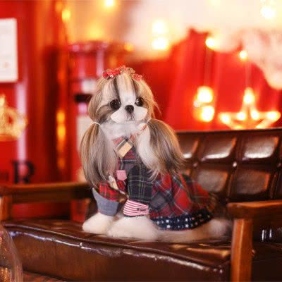 Pet Whisper.灵宠物语(卢卡新天地店):北京城区朝阳区立水桥附近