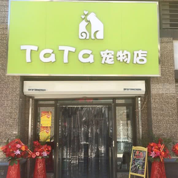 TaTa宠物店:沈阳市于洪区荷兰村附近