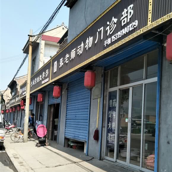 张老师动物门诊部:渭南市