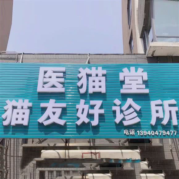 医猫堂猫友好诊所:沈阳市于洪区荷兰村附近