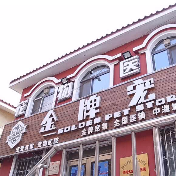 奥运金牌宠物医院:沈阳市于洪区荷兰村附近