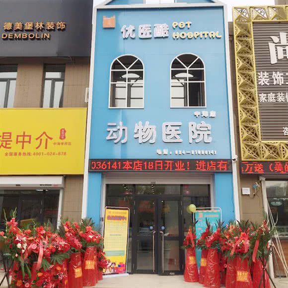 优医酷动物医院(中海店):沈阳市于洪区荷兰村附近