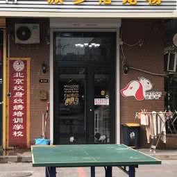 派多格宠物美容店(立水桥店):北京城区朝阳区立水桥附近