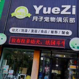 月子宠物俱乐部:沈阳市于洪区国奥现代城附近