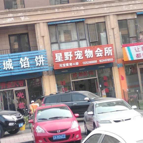星野宠物会所:沈阳市于洪区和谐广场附近