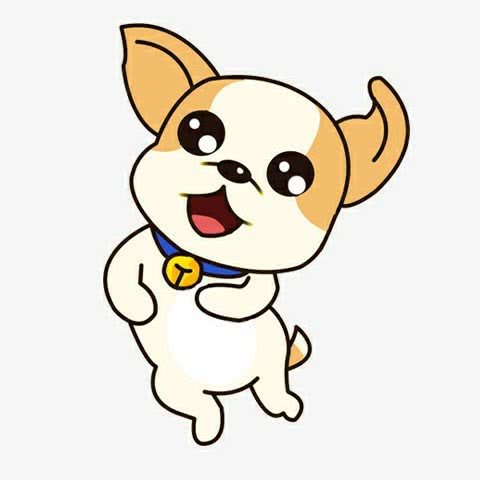 昱宠汇·宠物店:沈阳市于洪区和泰馨城附近