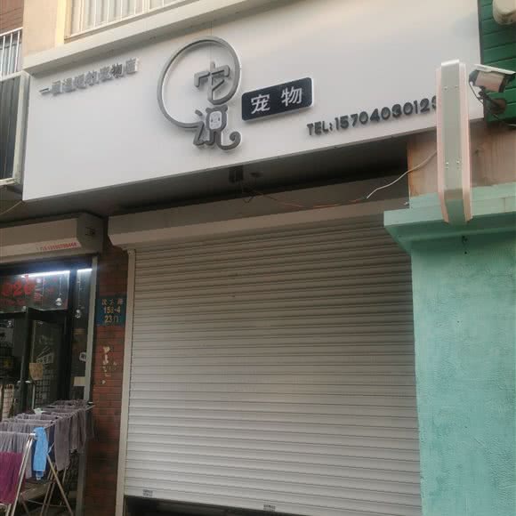 它说宠物:沈阳市于洪区和泰馨城附近