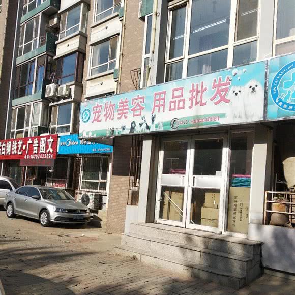 宠物美容:沈阳市于洪区和泰馨城附近
