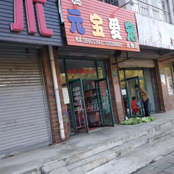 元宝爱宠宠物店:沈阳市于洪区和泰馨城附近