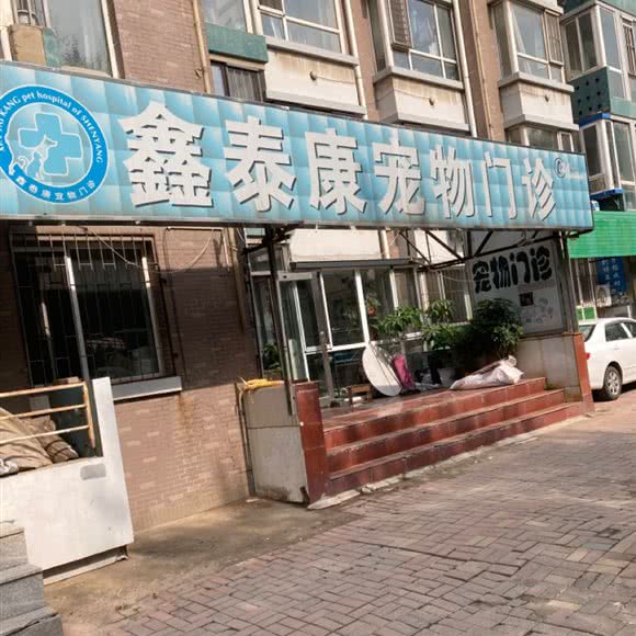 鑫泰康宠物门诊(于洪店):沈阳市于洪区和泰馨城附近