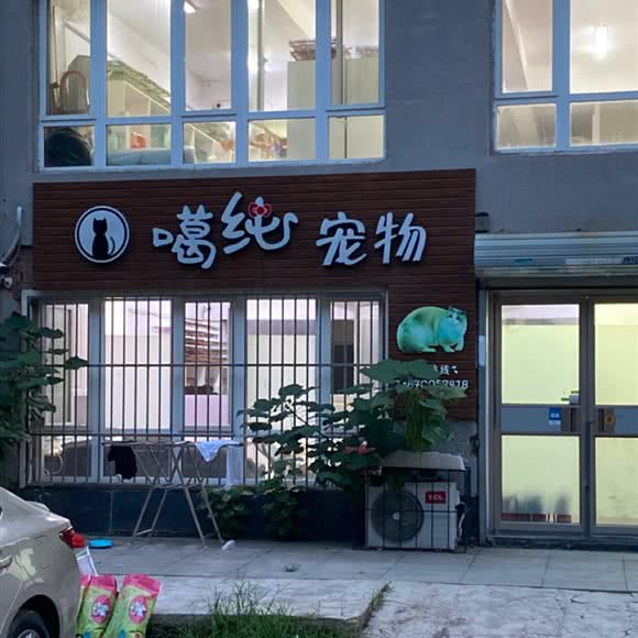 噶纯宠物:沈阳市于洪区阳光100附近