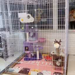 就这er宠物店:北京城区朝阳区草房附近