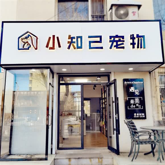 小知己宠物:沈阳市于洪区陵西附近