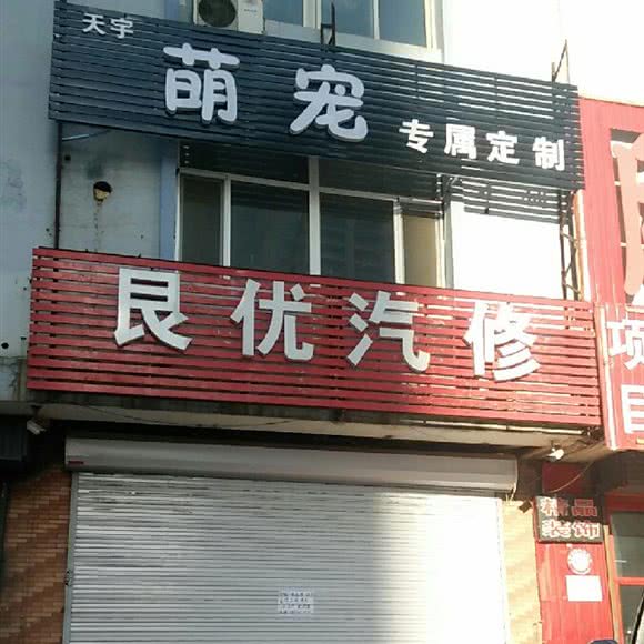 天宇萌宠专属定制:沈阳市于洪区鹏程花园附近