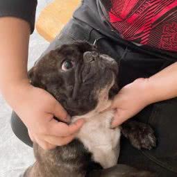 淳先森宠物生活馆:大连市中山区港湾广场附近