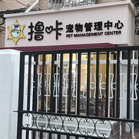 撸咔宠物管理中心:大连市中山区中山广场/延安路附近
