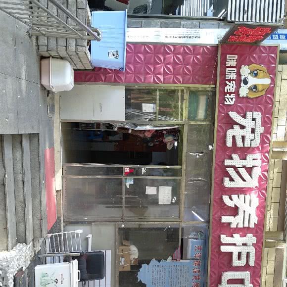 咪咪宠物养护中心(永昌街):大连市中山区三八广场附近