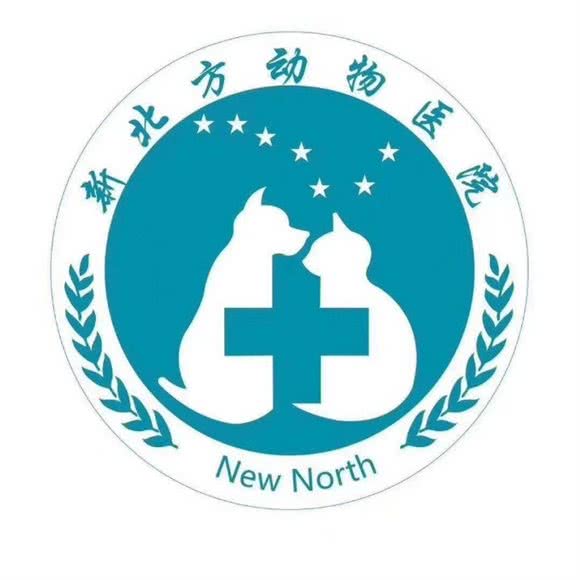 新北方宠物医院猫专科:大连市中山区天津街/人民路附近