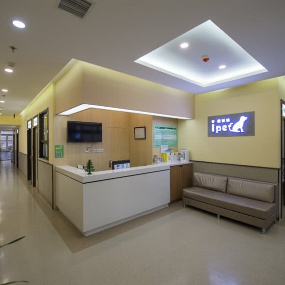 爱派特宠物医院:大连市中山区天津街/人民路附近