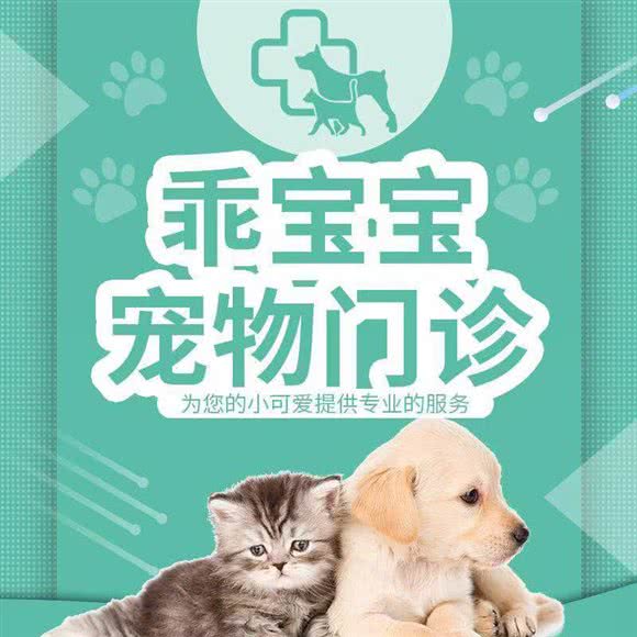 乖宝宝宠物门诊:大连市中山区二七广场附近