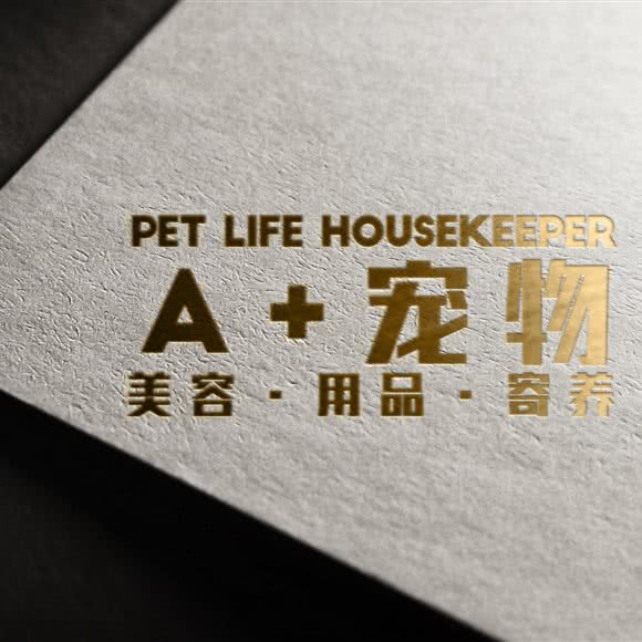 A+宠物管家:大连市中山区桃源附近