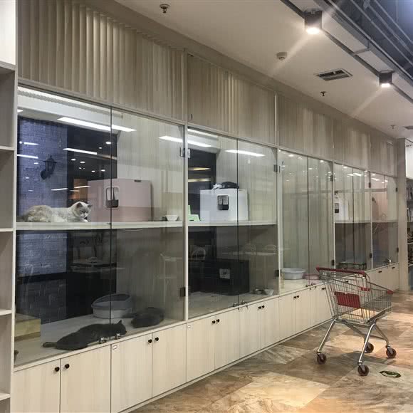 元素派对萌宠公园:大连市中山区桃源附近