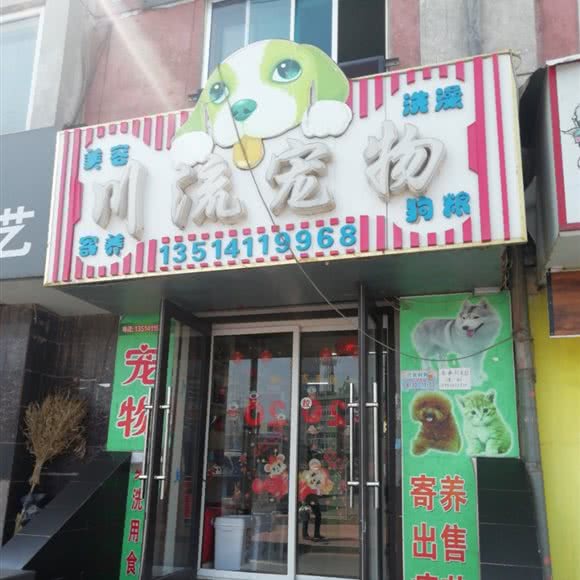 川流宠物:大连市中山区桃源附近