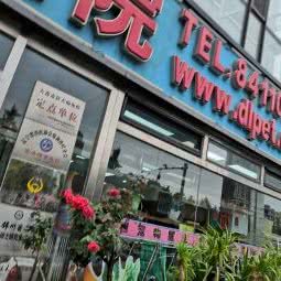 东日宠物医院(鸣鹤街店):大连市中山区桃源附近