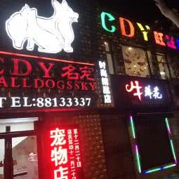 cdy名宠:大连市中山区解放路沿线附近