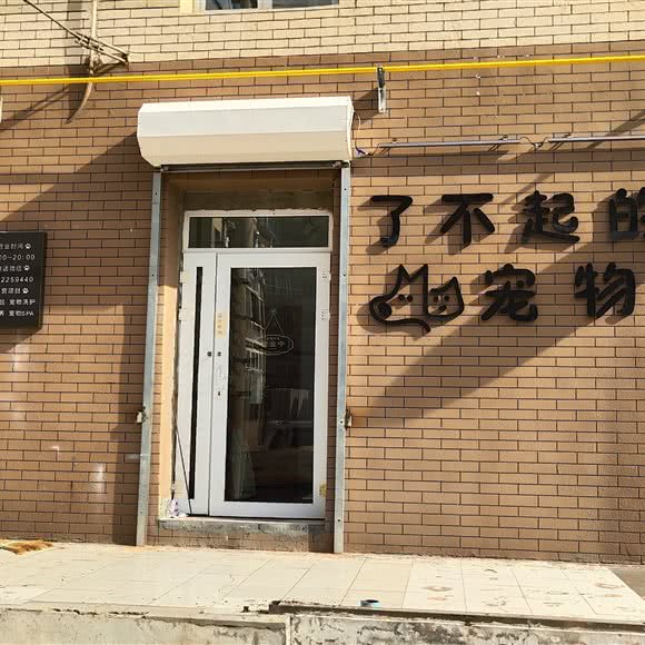 了不起的宠物店:大连市中山区中南路附近
