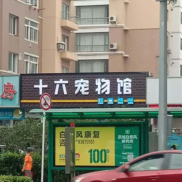 十六宠物馆(中南路店):大连市中山区中南路附近
