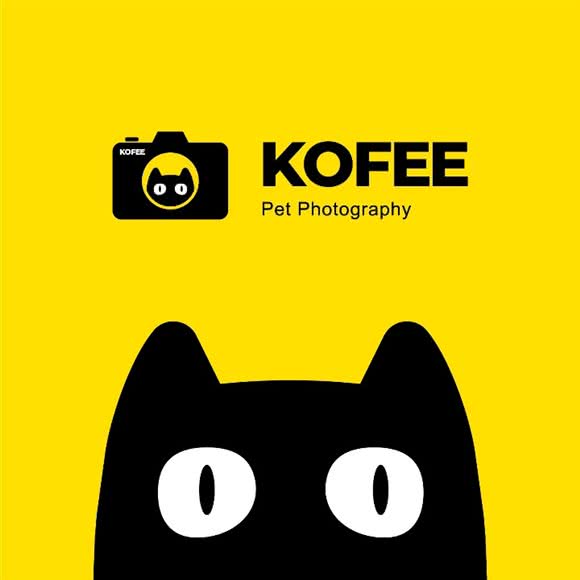 KOFEE宠物狗摄影:大连市西岗区奥林匹克广场附近