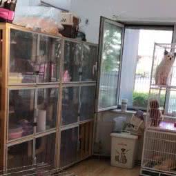 宠物联萌:北京城区朝阳区草房附近