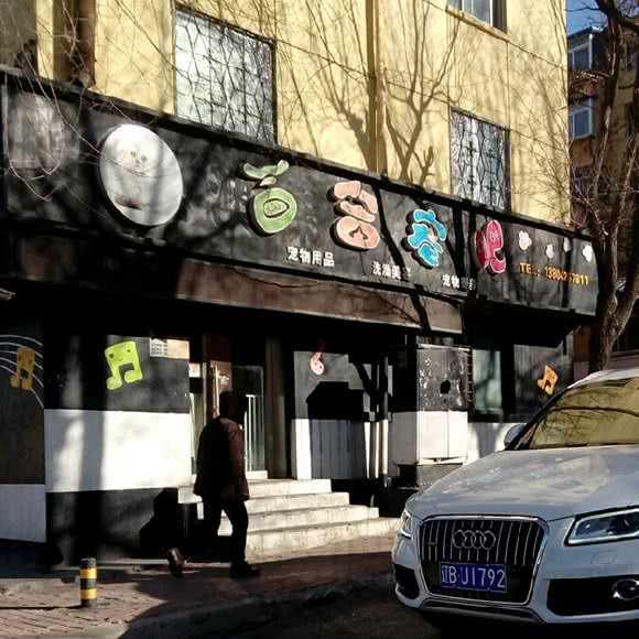 百合宠吧:大连市西岗区人民广场/新开路附近